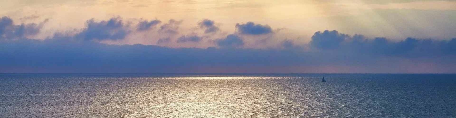 Wie is Trudy Satink Wie is Trudy Satink