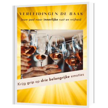 e-book-verslaving de baas
