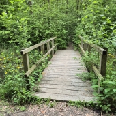 Verken jezelf wandeling