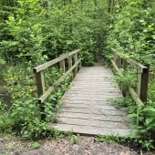 Verken jezelf wandeling