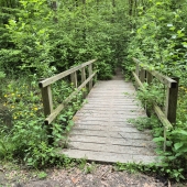 Verken jezelf wandeling
