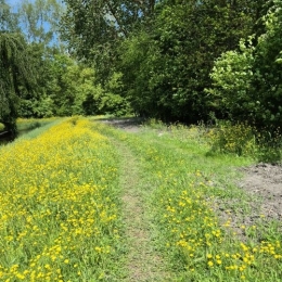 Verken jezelf tijdens de stiltewandeling