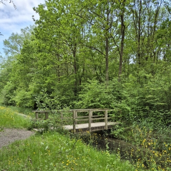 Verken jezelf wandeling