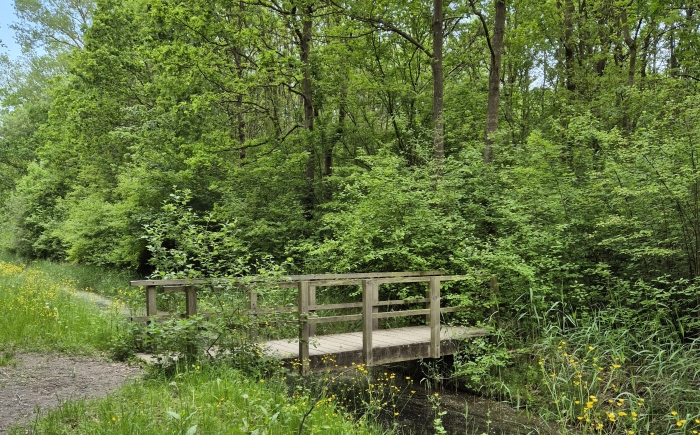Verken jezelf wandeling