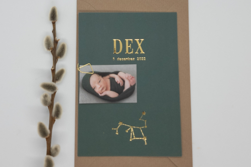 geboortekaartje jongen met goudfolie groen met sterrenbeeld en fotokaartje Dex