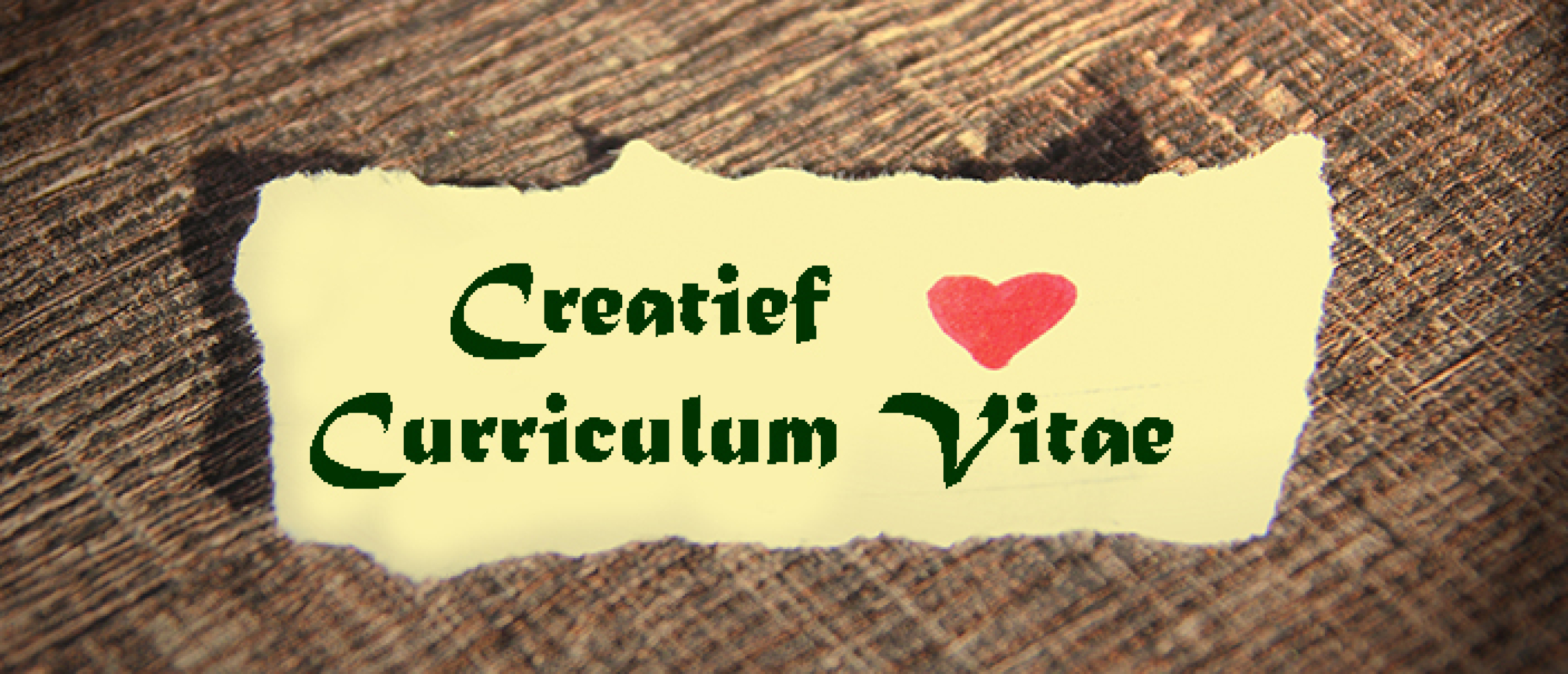 Curriculum Vitae: Excellent en creatief!