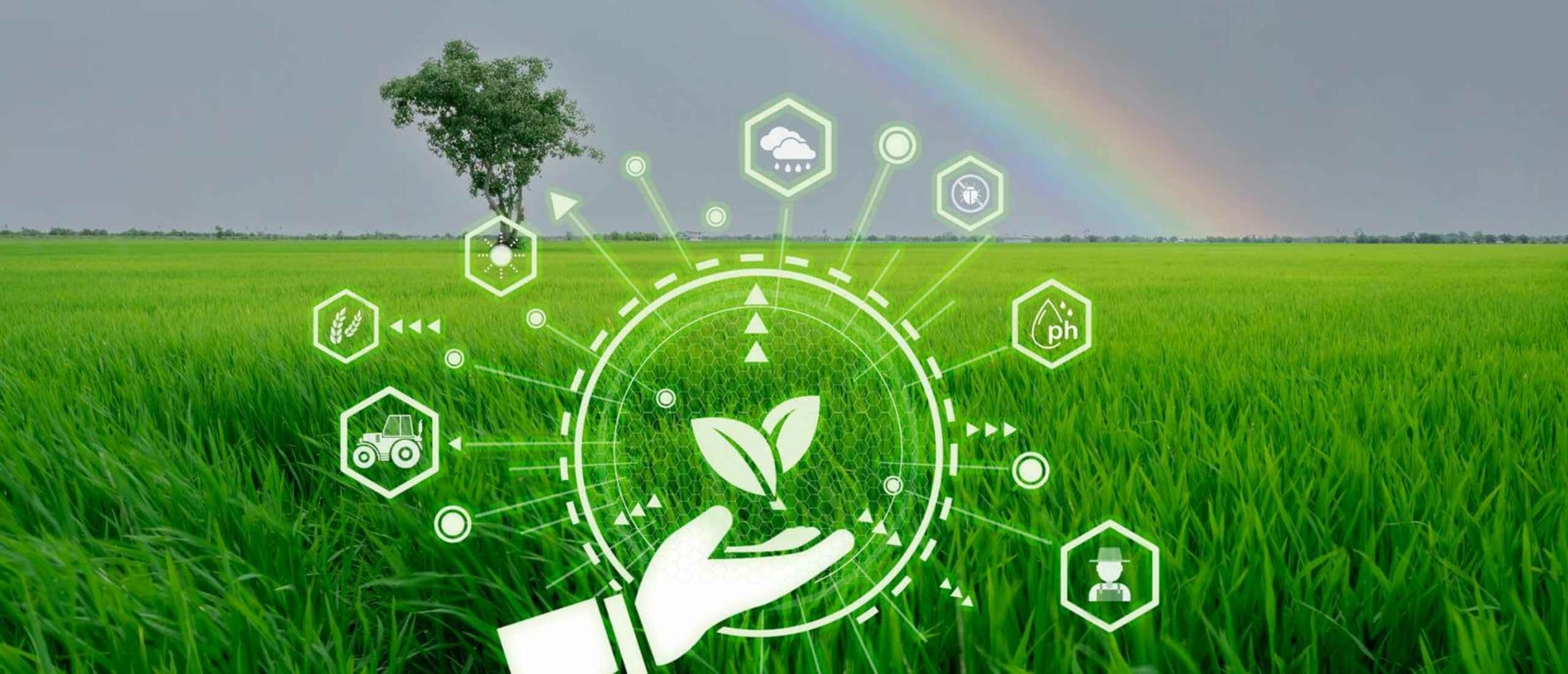 De Corporatiestrateeg -  BCD-labels: verduurzamen met beleid