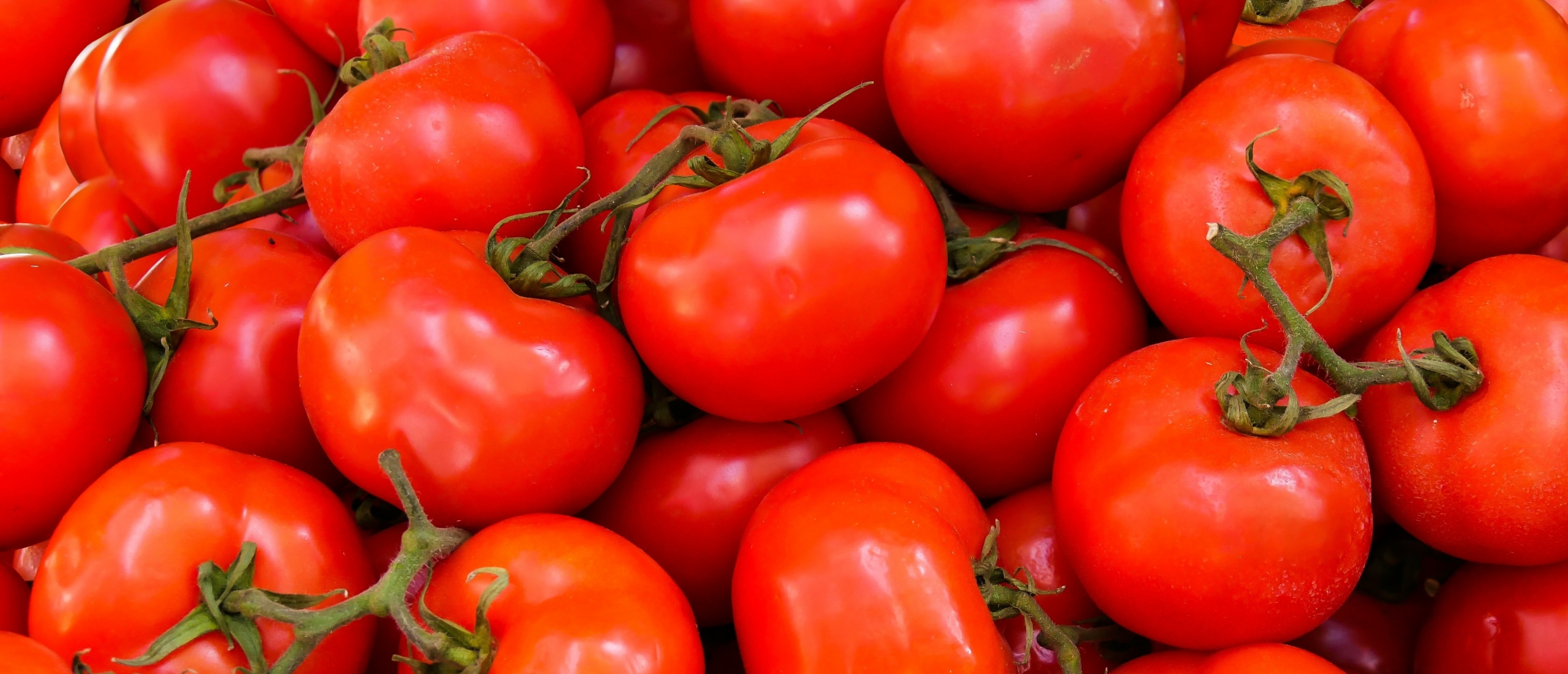 Tomaten Tomaten