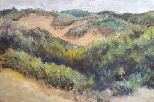 Duinen in Castricum 1