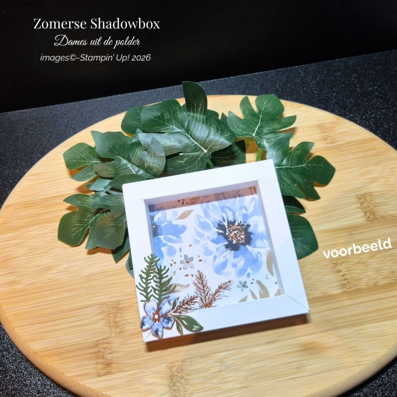 Zomerse Shadowbox workshop