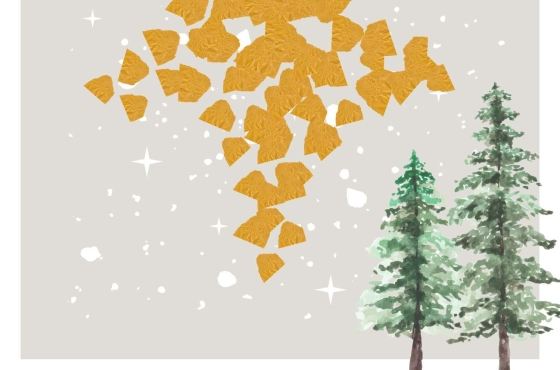 online adventskalender