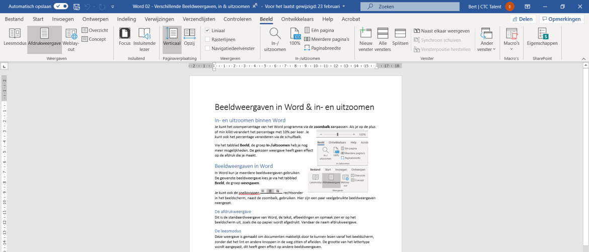 Beeldweergaven in Word in en uitzoomen
