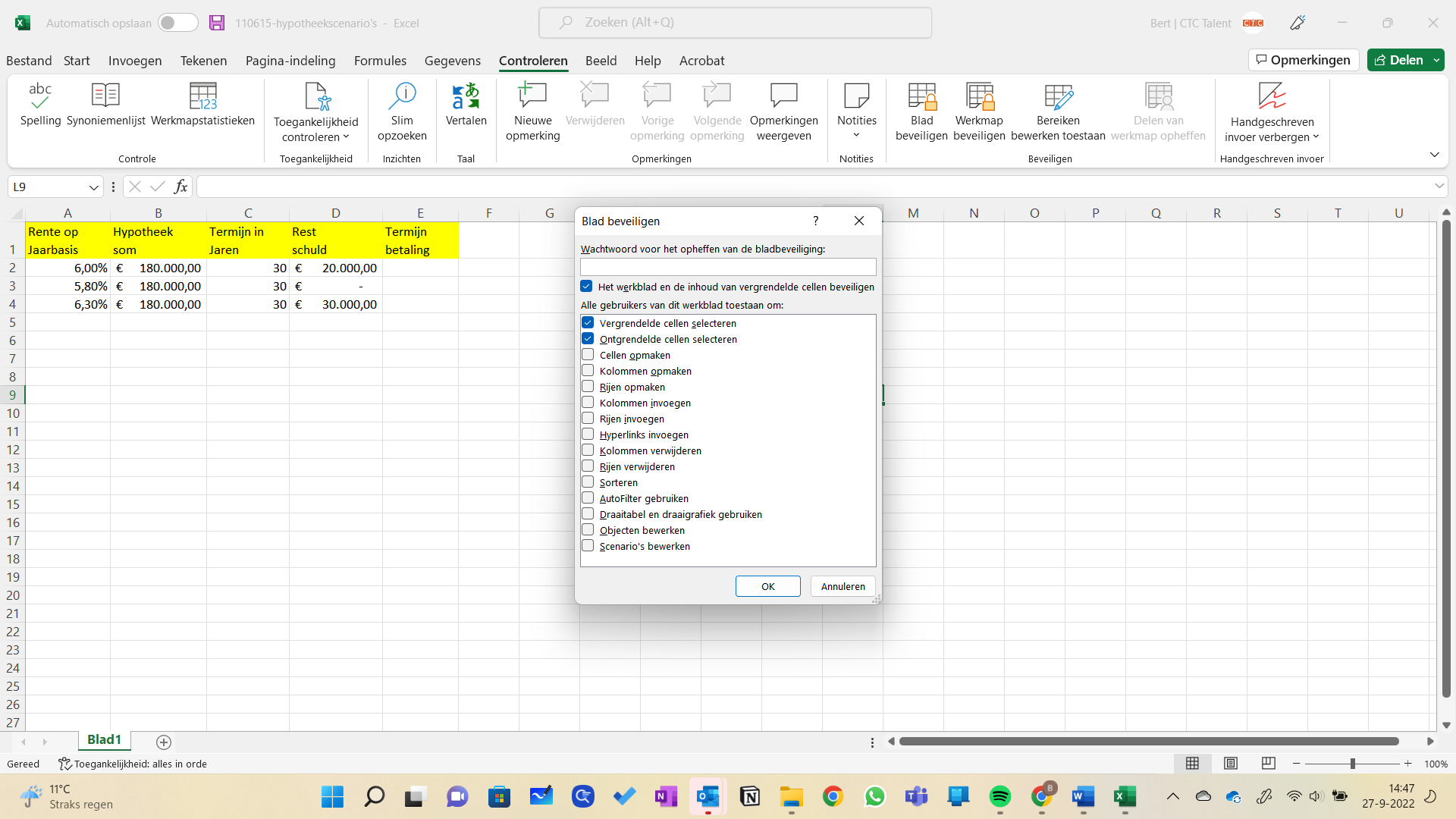 werkbladen en mappen beveiligen in Excel