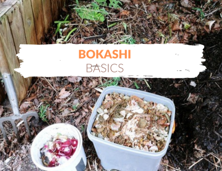 alles wat je moet weten voer bokashishi