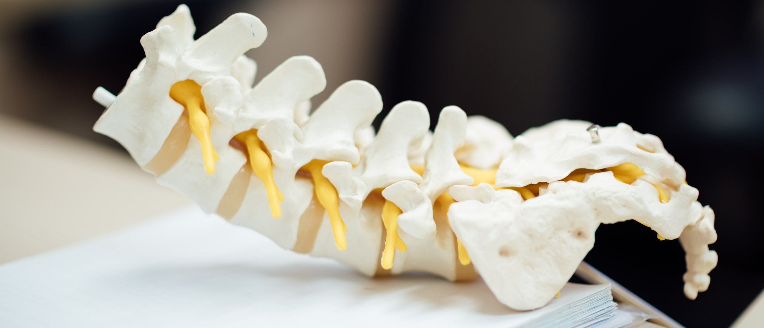 Lumbar spine clinical reasoning