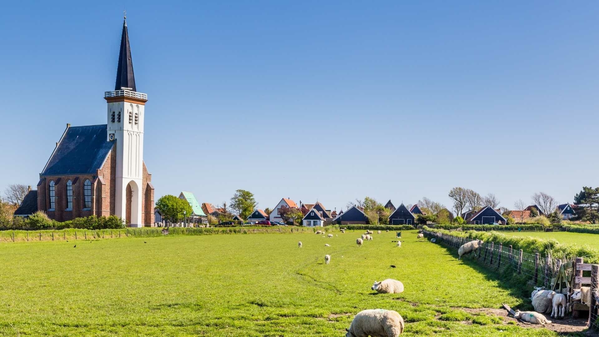 typisch texel