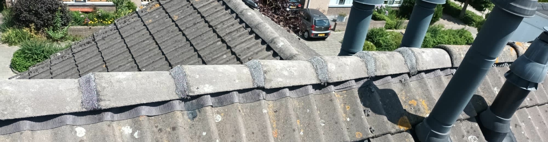 Nokvorst renovatie