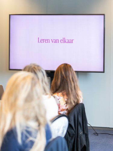 Training vrouwelijk leiderschap, programma voor vrouwen, vrouwen quotum, doorgroeimogelijkheden vrouwen, training voor vrouwelijke high potentials, vrouwen en carriere, doorgroeimogelijkheden vrouwen