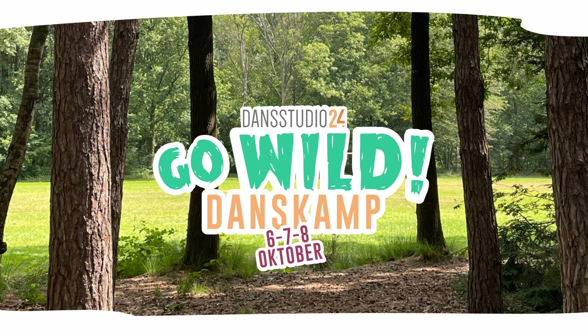 Danskamp Dansstudio 24