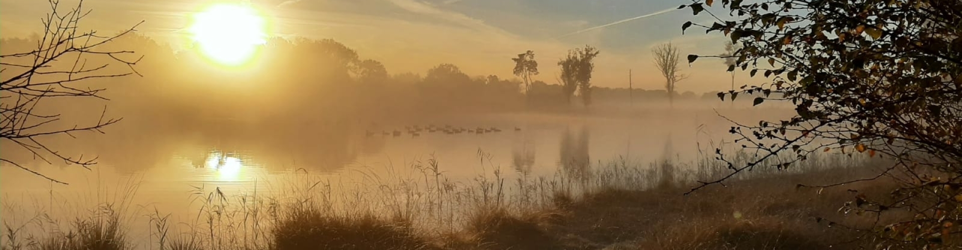wandelen roosendaal