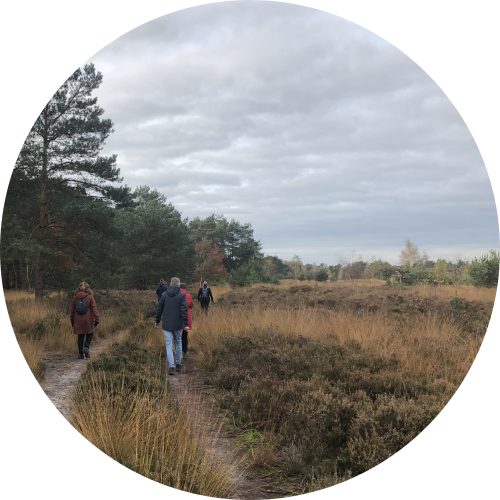 lange-wandelingen-daphne-buijk