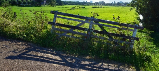 Wandeling Hoogerheide