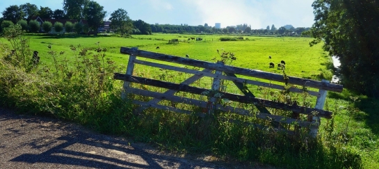 Wandeling Hoogerheide