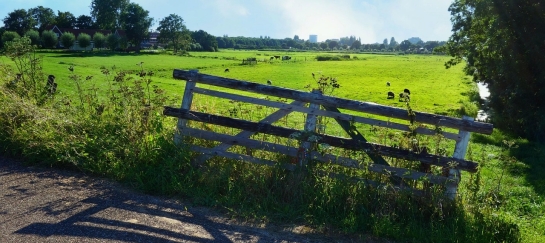 Wandeling Hoogerheide