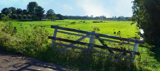 Wandeling Hoogerheide
