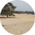 Herperduin wandelen