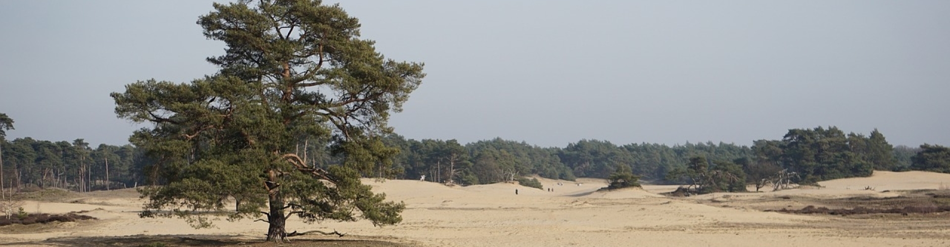 Herperduin wandelen