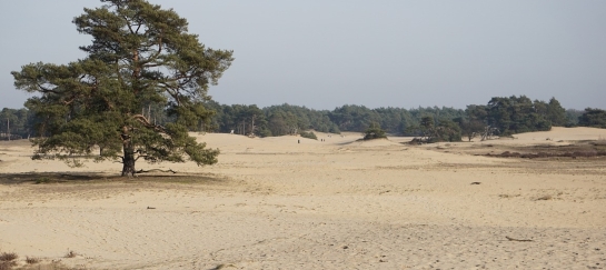 wandelweekend Herpen Herperduin wandelen