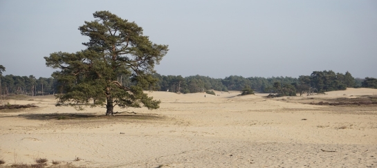 Herperduin wandelen