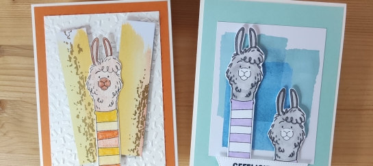 kaarten maken Roosendaal