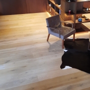 Afbeelding zonder ALT