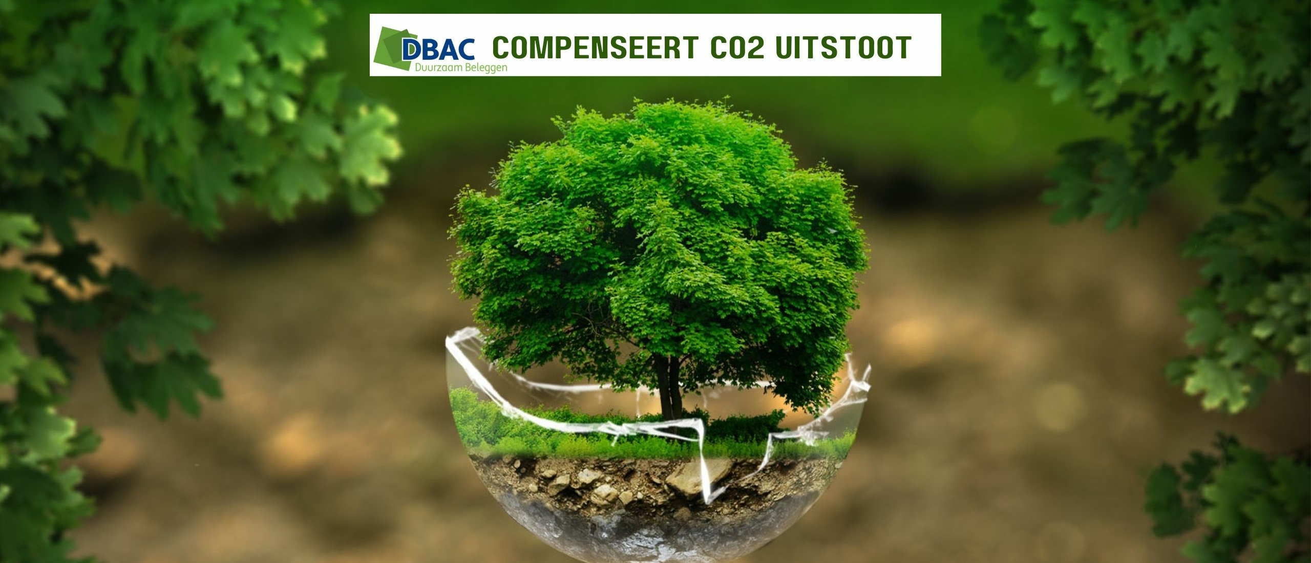 DBAC compenseert CO2 uitstoot