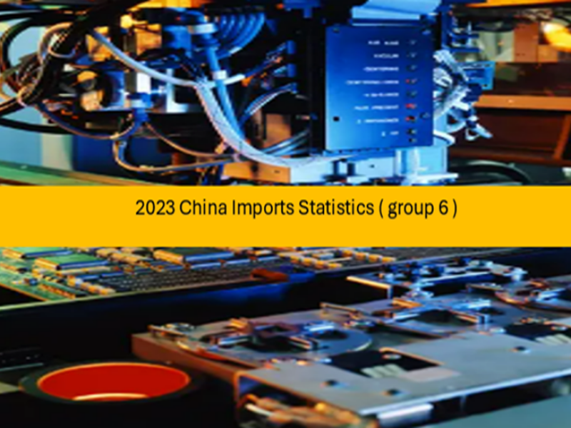 2023 China Imports Statistics ( group 6 )