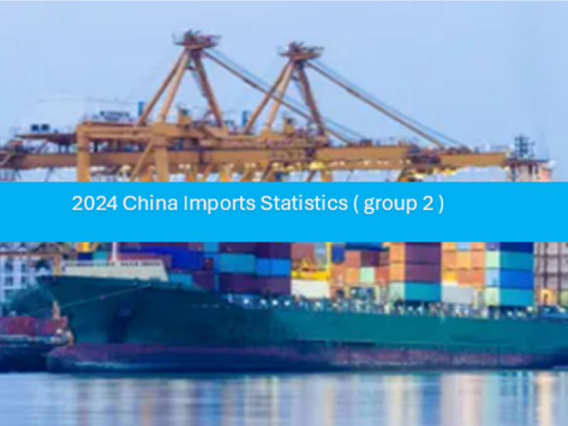 China Imports Statistics 2024 (group -2)