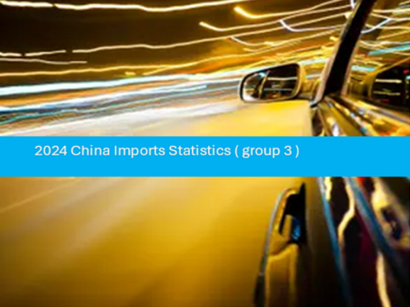 China Imports Statistics 2024 (group -3)