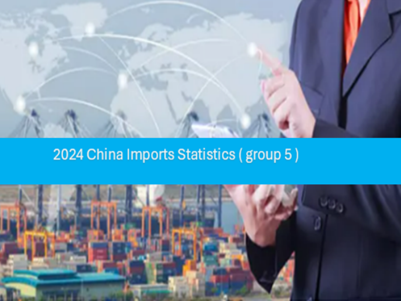 China Imports Statistics 2024 (group -5)