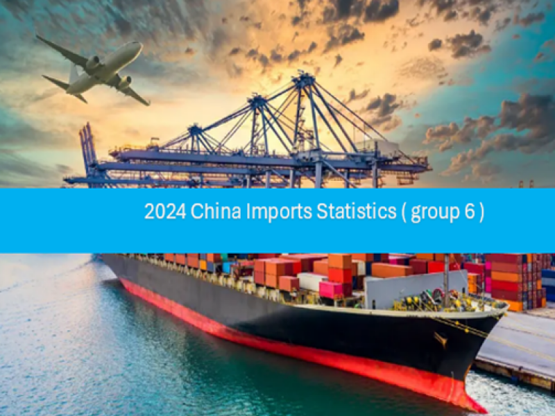 China Imports Statistics 2024 (group -6)