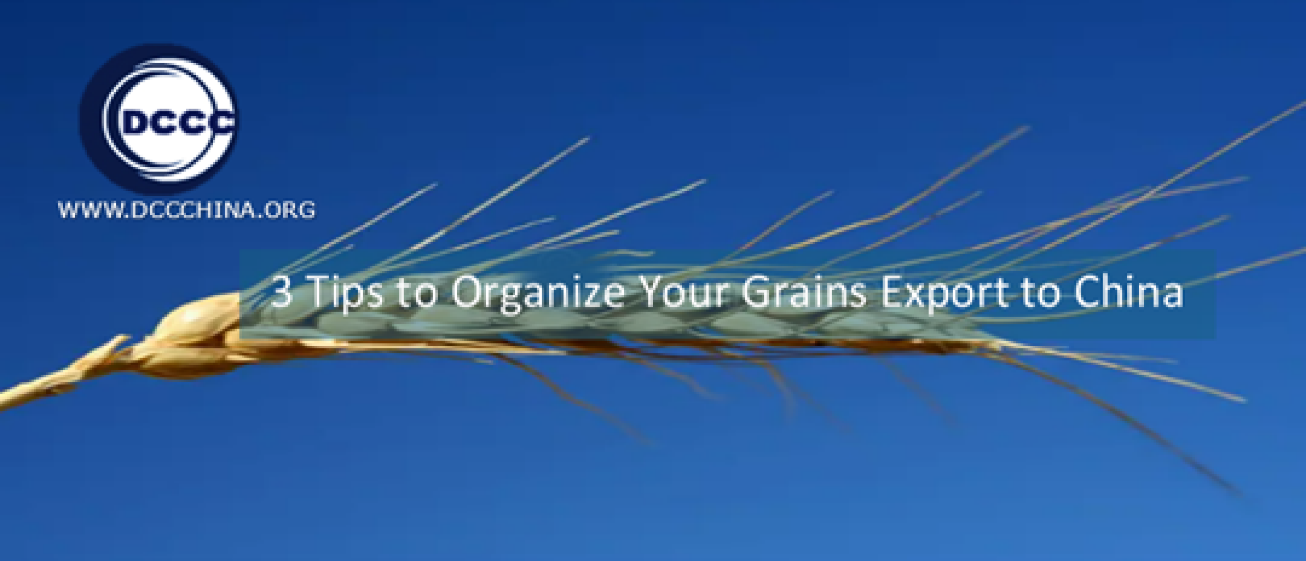 3 Tips to Organize Your Grains Export to China