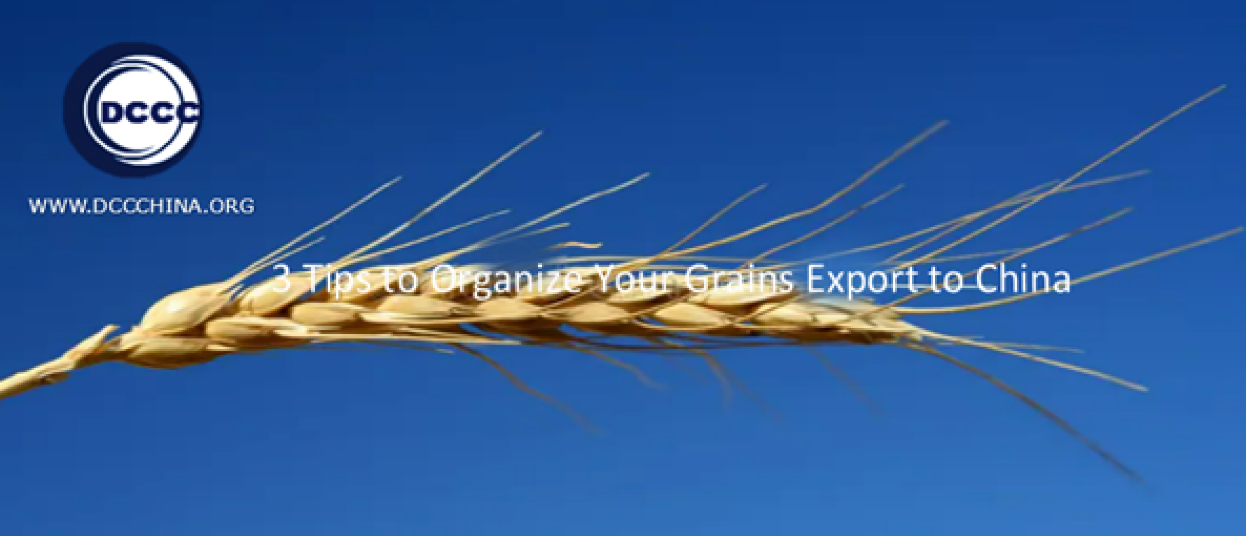 3 Strategic-Tips to Organize Grains Export to China