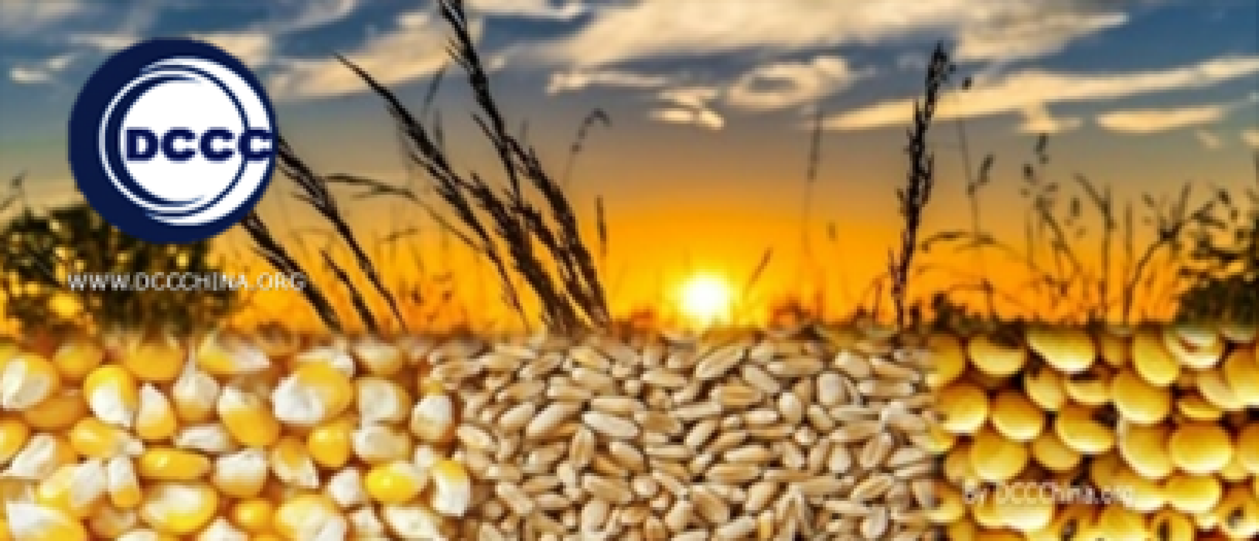 Agricultural products importing to China with motivated Chinese importers