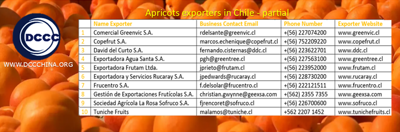 apricots-exporters-in-chile