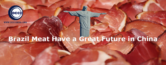 Brazil seeks various meat exports to China - Enhancing more meat export proficiencies