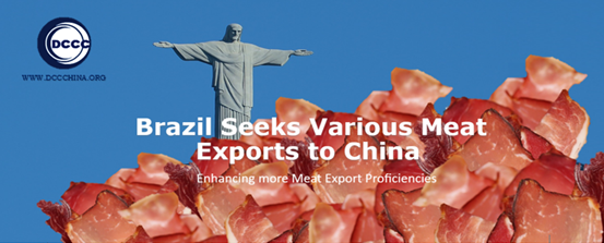 Brazil seeks various meat exports to China - Enhancing more meat export proficiencies