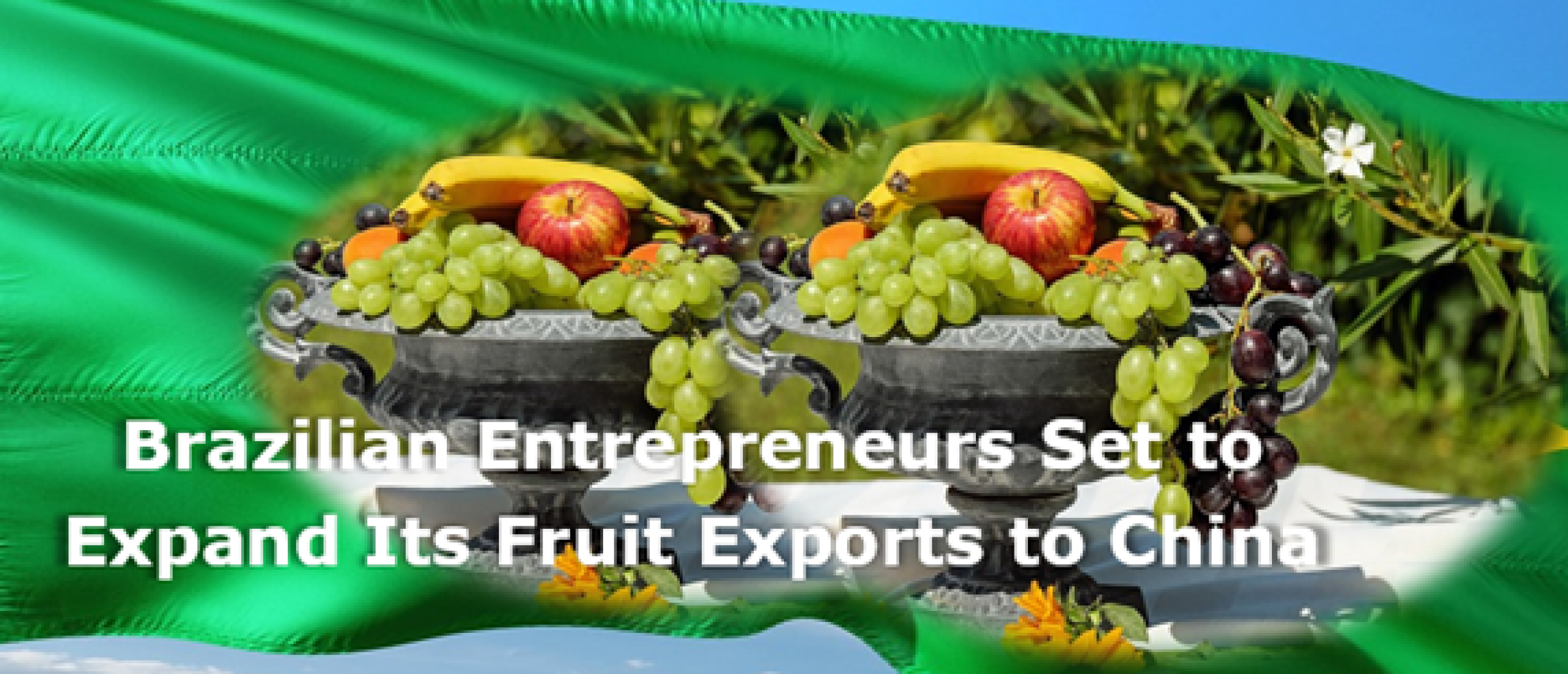 Brazilian entrepreneurs set to expand its fruit exports to China