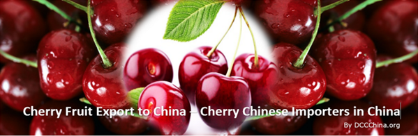 cherry-fruit-export-to-china-cherry-chinese-importers-in-china