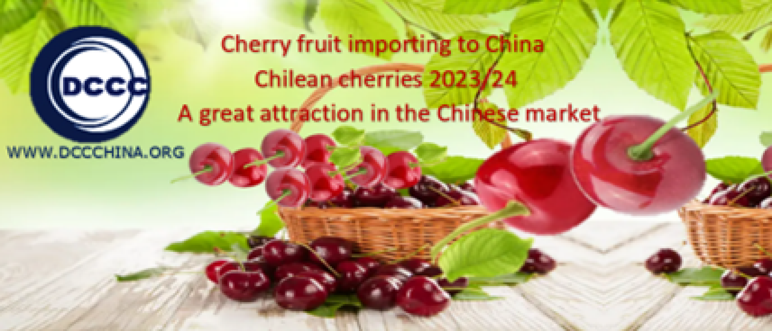 Chilean cherries 2023/24 imported to China arrived in Shanghai